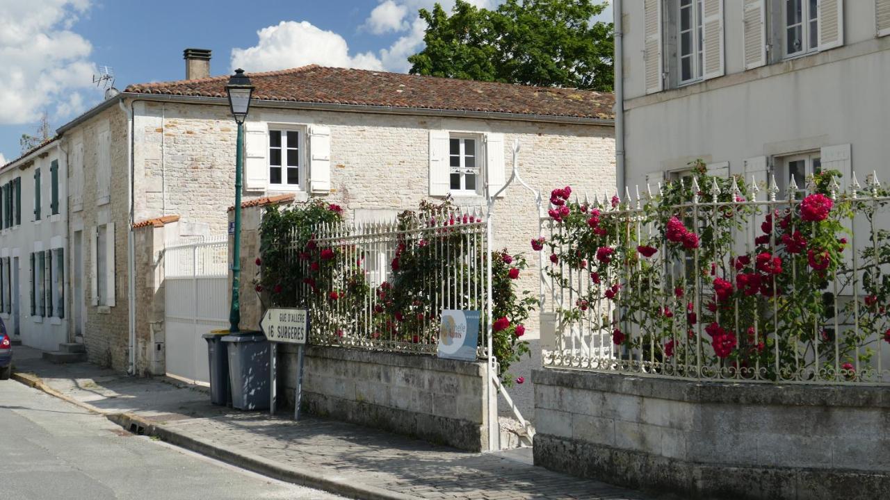 Saint-Sauveur-d'AunisLa Rochelle Et L'Aunis住宿加早餐旅馆 外观 照片